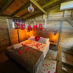 https://casa-catumbi-rosa.santa-catarina-brasil.com